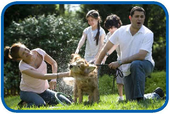 AsthmaFAQ-factsheet6