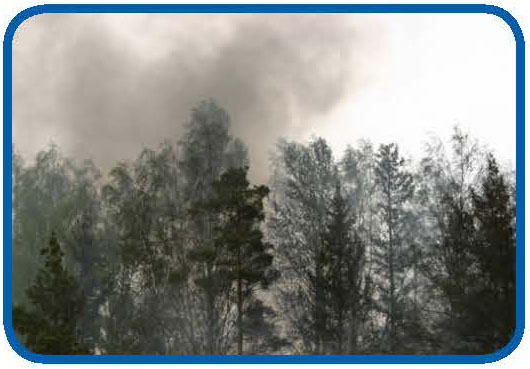 AsthmaFAQ-factsheet8